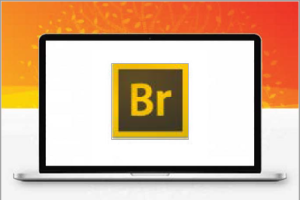 Adobe Bridge 2023 13.0.3简体中文版安装包完整版下载